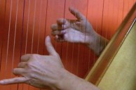 Harp hands